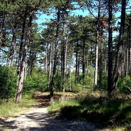 Apartment Residenz Passat 5